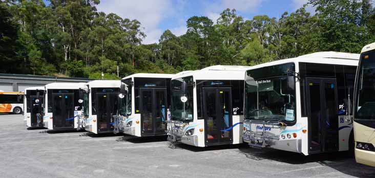 Martyrs Express bodied 25 52 26 50 51 & 24